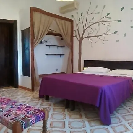 Bed & Breakfast Bolinajazz