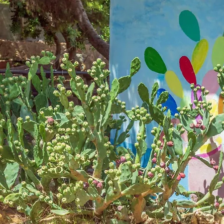 Bed & Breakfast Bolinajazz