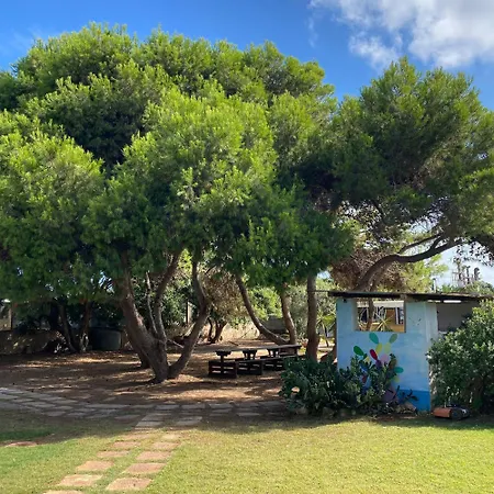 Bed & Breakfast Bolinajazz